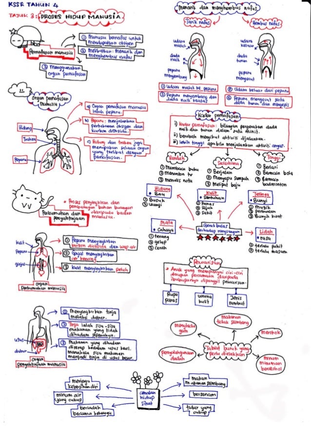 Science revisionnotesbyameerfirdaus
