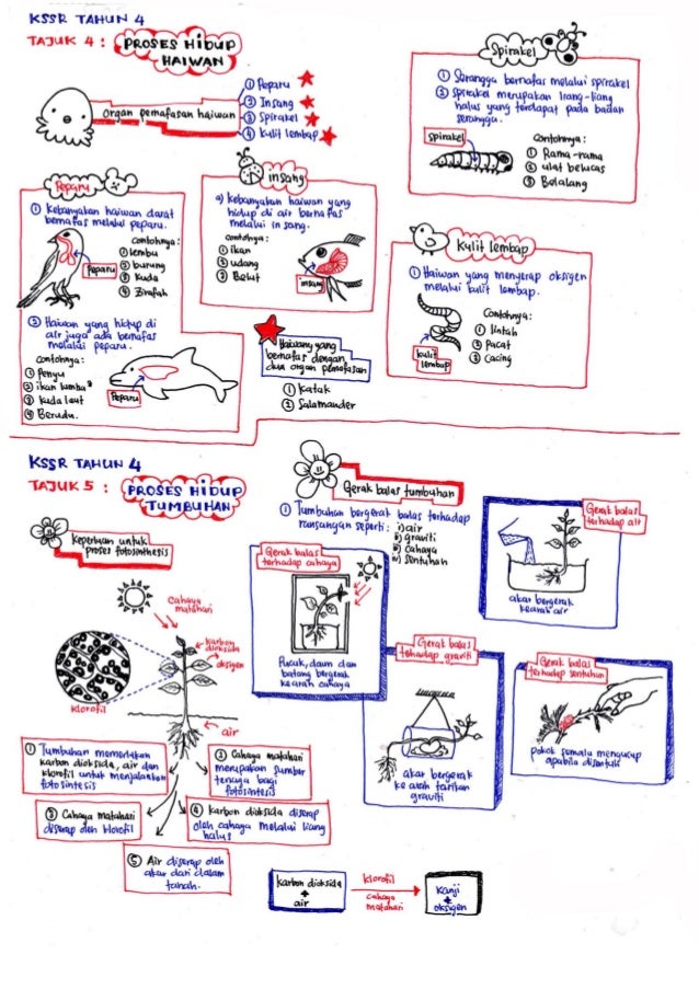 Science revisionnotesbyameerfirdaus