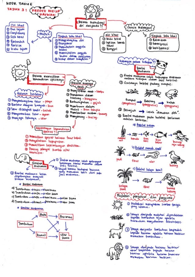 Science revisionnotesbyameerfirdaus