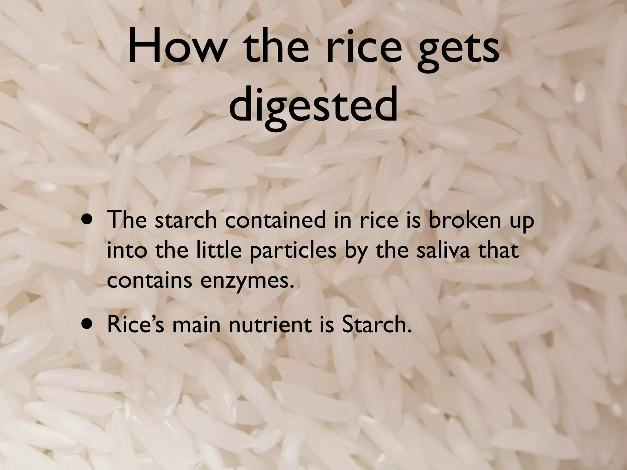 How the rice gets
       digested

• The starch contained in rice is broken up
  into the little particles by the saliva that
  contains enzymes.
• Rice’s main nutrient is Starch.
 