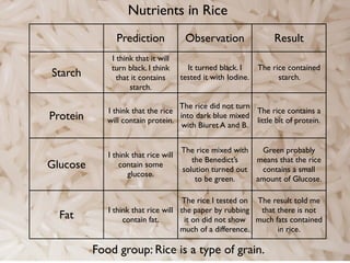 Science rice project | KEY