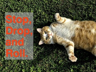 Stop,
Drop,
and
Roll.
 