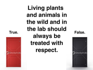 Living plants
        and animals in
        the wild and in
True.
        the lab should    False.
           always be
          treated with
            respect.
 