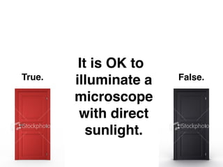 It is OK to
True.   illuminate a   False.

        microscope
         with direct
           sunlight.
 