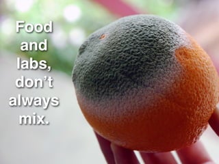 Food
  and
 labs,
 donʼt
always
 mix.
 