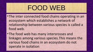 FOOD WEB
•The inter connected food chains operating in an
ecosystem which establishes a network of
relationship between various species is called a
food web.
•The food web has many intersrosses and
linkages among various species.This means the
various food chains in an ecosystem do not
operate in isolation
 