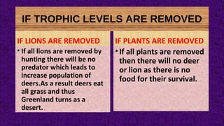 IF TROPHIC LEVELS ARE REMOVED
IF LIONS ARE REMOVED
• If all lions are removed by
hunting there will be no
predator which leads to
increase population of
deers.As a result deers eat
all grass and thus
Greenland turns as a
desert.
IF PLANTS ARE REMOVED
•If all plants are removed
then there will no deer
or lion as there is no
food for their survival.
 