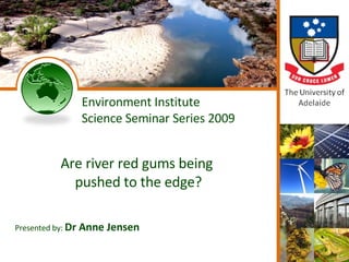 Environment Institute Science Seminar Series 2009 Are river red gums being  pushed to the edge? Presented by:  Dr Anne Jensen 