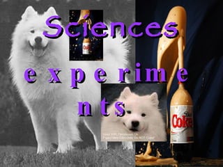 Sciences   experiments   