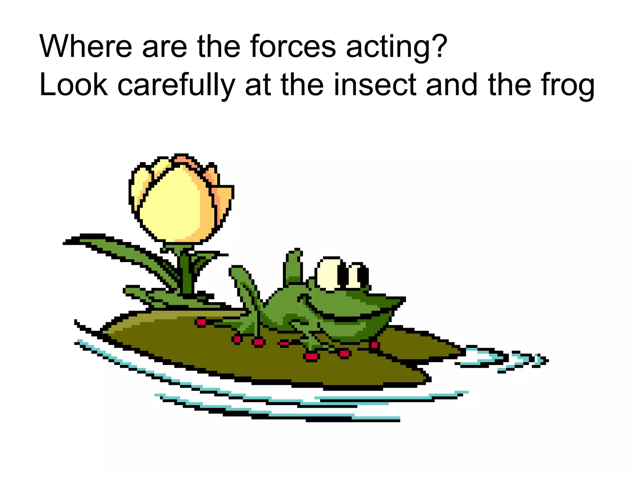 Where are the forces acting?  Look carefully at the insect and the frog 