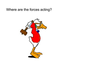 Where are the forces acting? 