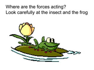 Where are the forces acting?  Look carefully at the insect and the frog 