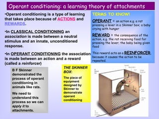 Operant conditioning: a learning theory of attachments ,[object Object],[object Object],[object Object],B F Skinner demonstrated the process of operant conditioning in animals like rats. We need to understand this process so we can  apply it  to attachments. THE SKINNER BOX : The piece of equipment designed by Skinner to demonstrate operant conditioning TERMS TO KNOW! OPERANT  =  an action e.g. a rat pressing a lever in a Skinner box; a baby crying with hunger REWARD  =  the consequence of the action, e.g. the rat receiving food for pressing the lever; the baby being given food  This reward acts as a  REINFORCER , because it causes the action to be repeated. 