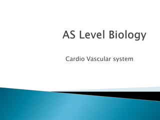 AS Level Biology Cardio Vascular system 