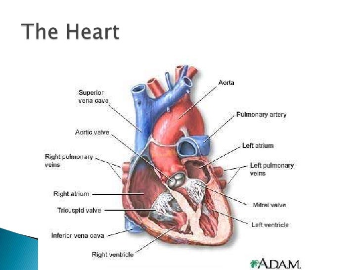 ScienceShare.co.uk Shared Resource