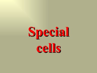 Special cells 
