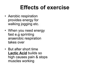 Effects of exercise   Aerobic respiration provides energy for walking jogging etc. When you need energy fast e.g sprinting anaerobic respiration takes over But after short time  Lactic Acid  builds so high causes pain & stops muscles working 