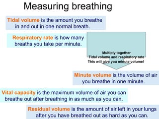 Measuring breathing Tidal volume  is the amount you breathe in and out in one normal breath. Residual volume  is the amount of air left in your lungs after you have breathed out as hard as you can. Minute volume  is the volume of air you breathe in one minute. Respiratory rate  is how many breaths you take per minute. Vital capacity  is the maximum volume of air you can breathe out after breathing in as much as you can. Multiply together Tidal volume and respiratory rate This will give you minute volume!   