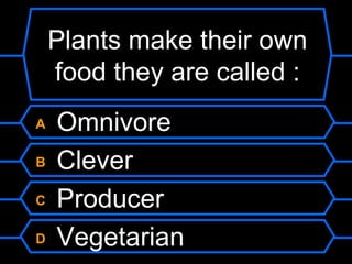 Plants make their own food they are called : A  Omnivore B  Clever C  Producer D  Vegetarian 