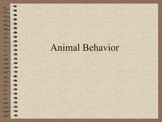 Animal Behavior 