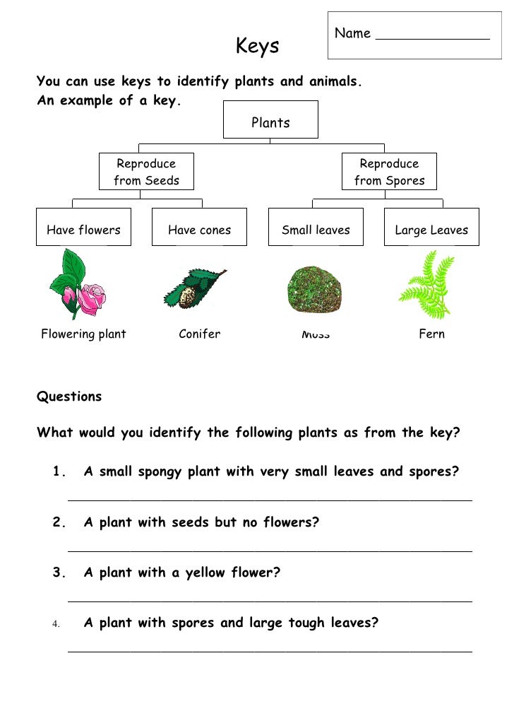 ScienceShare.co.uk Shared Resource