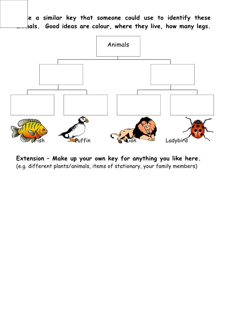 Salamander dichotomous key answer sheet image