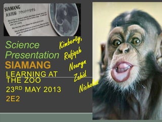 Science
Presentation
SIAMANG
LEARNING AT
THE ZOO
23RD MAY 2013
2E2
 