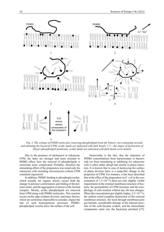 18 Sciences of Europe # 90, (2022)
1 2
3 4
5
Fig. 3. The scheme of PHMG molecules removing phospholipids from the bilayer,...