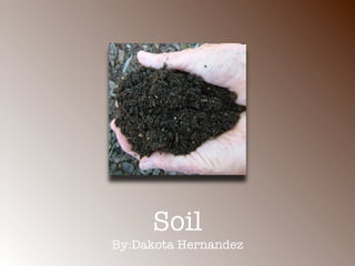 Soil
By:Dakota Hernandez
 
