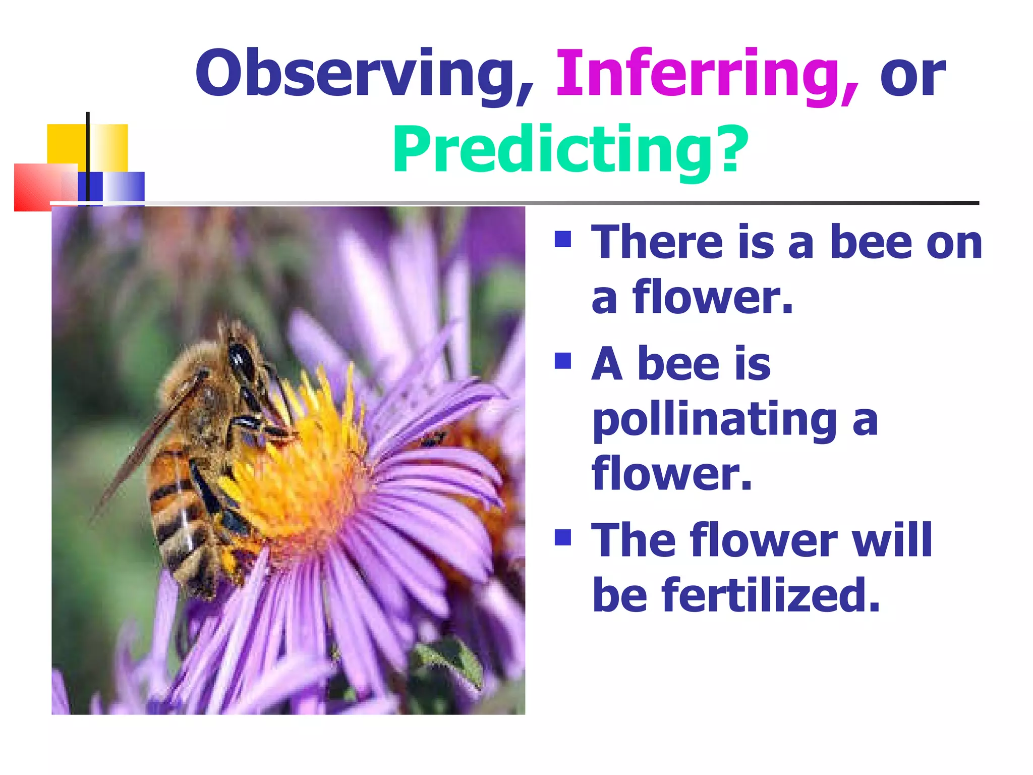 Observing,  Inferring,  or  Predicting? There is a bee on a flower. A bee is pollinating a flower. The flower will be fertilized. 