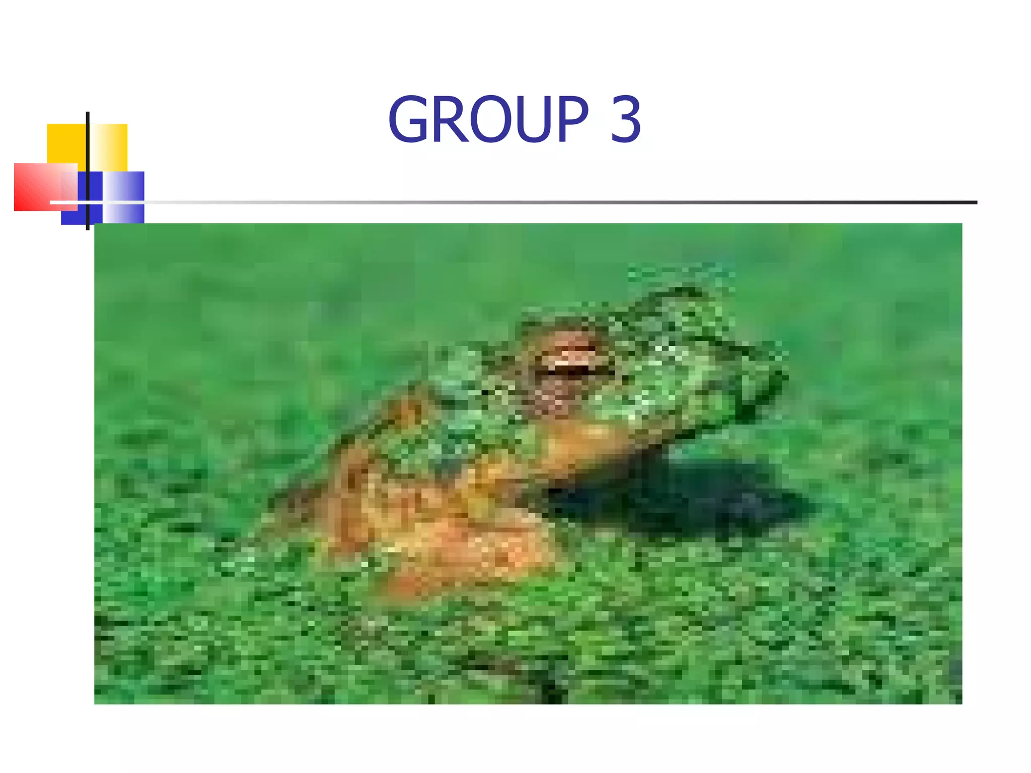GROUP 3 