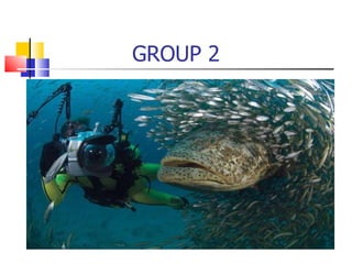 GROUP 2 