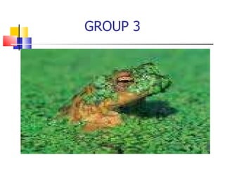GROUP 3 