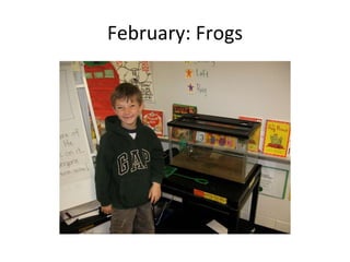 February: Frogs 
