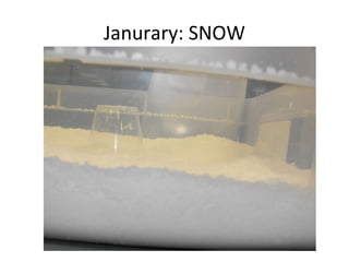 Janurary: SNOW 