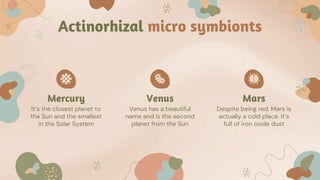 Mercury Venus Mars
Actinorhizal micro symbionts
It’s the closest planet to
the Sun and the smallest
in the Solar System
Ve...