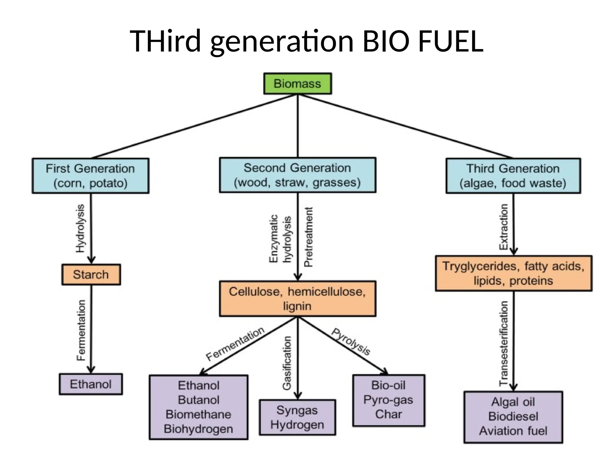 THird generation BIO FUEL
 