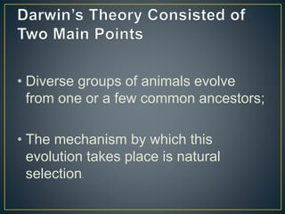 • Diverse groups of animals evolve
from one or a few common ancestors;
• The mechanism by which this
evolution takes place is natural
selection.
 
