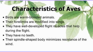 Aves Presentation for class 9.pptx
