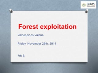 Forest exploitation 
Valdospinos Valeria 
Friday, November 28th, 2014 
7th B 
 