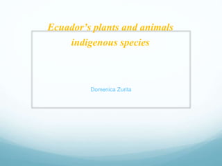 Ecuador’s plants and animals 
indigenous species 
Domenica Zurita 
 