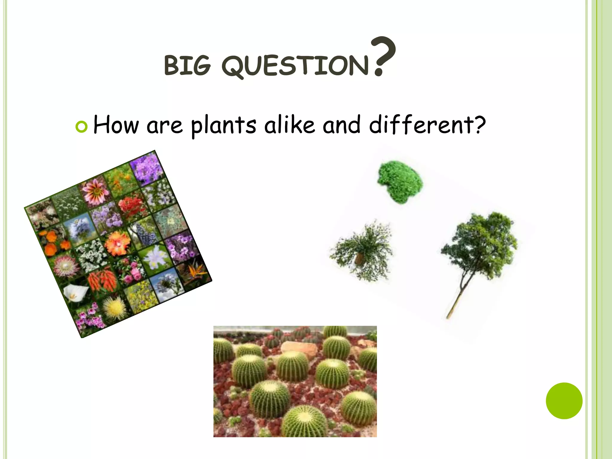 ?
BIG QUESTION
How
are plants alike and different?