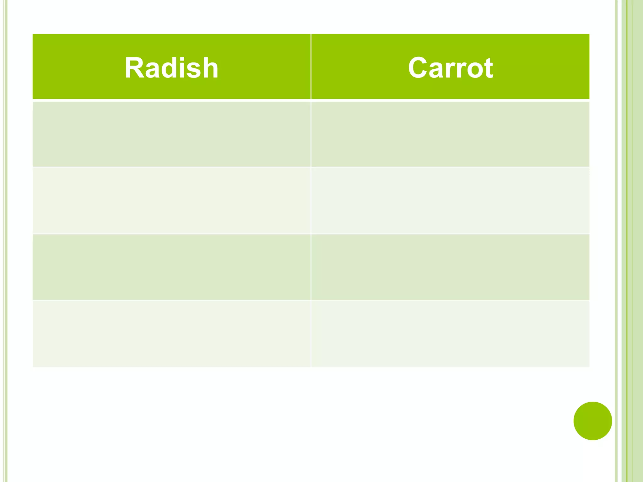 Radish
Carrot