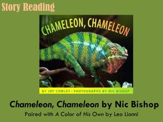 Chameleon, Chameleon  by Nic Bishop Paired with  A Color of His Own  by Leo Lionni Story Reading 