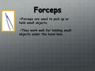 ForcepsForceps are used to pick up or hold small objects.They work well for holding small objects under the hand lens.