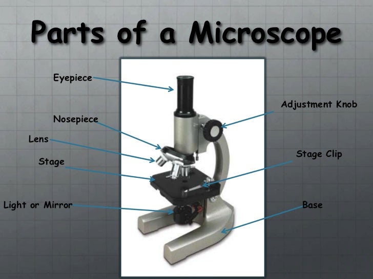 science tools parts of a microscope