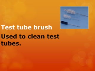 Test tube brush - Wikipedia