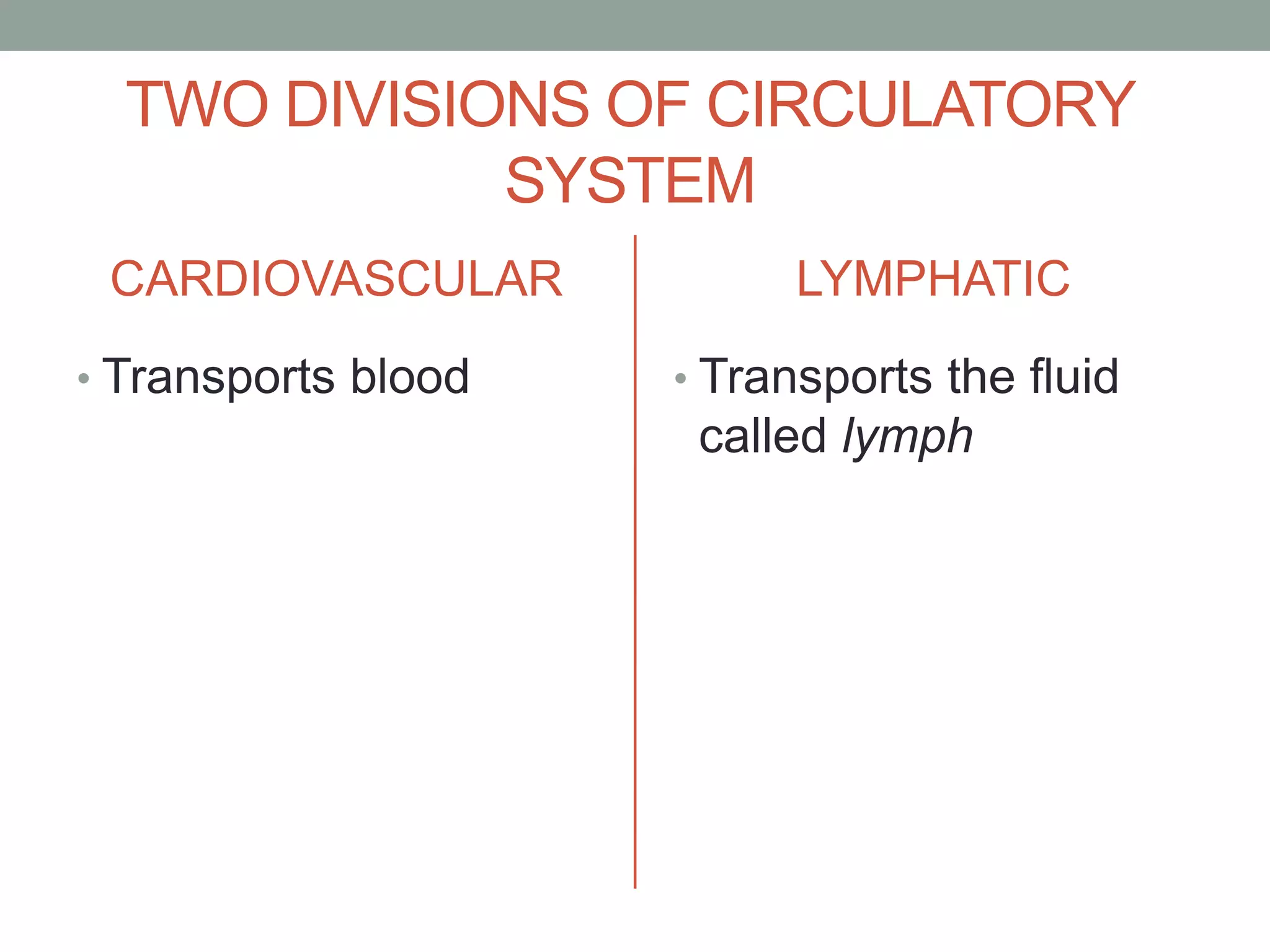 TWO DIVISIONS OF CIRCULATORY
SYSTEM
CARDIOVASCULAR
• Transports blood
LYMPHATIC
• Transports the fluid
called lymph
 