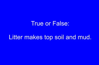 True or False: Litter makes top soil and mud. 