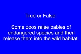 True or False: Some zoos raise babies of endangered species and then  release them into the wild habitat. 